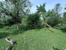 СУХУМ-50-СОТОК