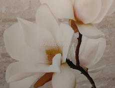 Куплю 1 или 2 комнатную квартиру!