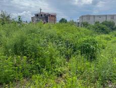 Продаётся Чала 