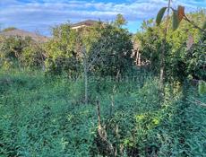 Дом в Агудзере