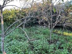 Дом в Агудзере