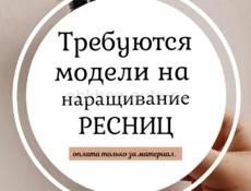 Бравист ЛАШМЕЙКЕР