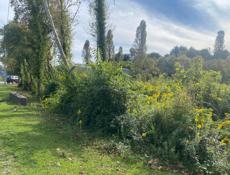 Участок вдоль дороги Гудаутский район 