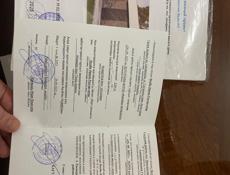 Срочно ‼️ цена снижена !!! Все документы на руках проект Гос акт 