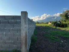 Пицунда, Алахадзы 6,5сот