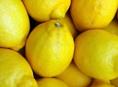 Куплю лимон