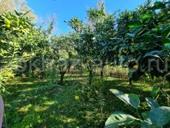 Куплю дом в селе недалеко от сухуми