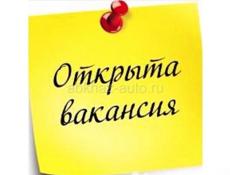 Требуется товаровед