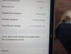 Айфон se2 акб80% гб 64