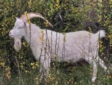 СРОЧНО ТОЛЬКО СЕГОДНЯ!!!