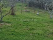 Срочно продам участок по хорошей цене 