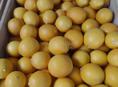 Продаються лимоны!!!