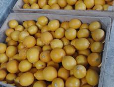 Продаються лимоны!!!