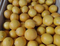 Продаються лимоны!!!