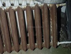 Боторея цена 2000р