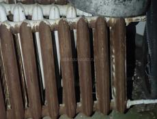 Боторея цена 2000р