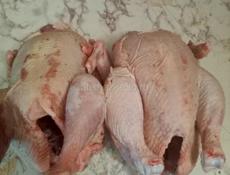 Продаем домашних курей