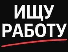 Ищу работу 