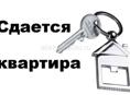 Сдаю не дорого