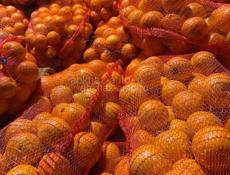 Апельсины (сорт Вашингтон)