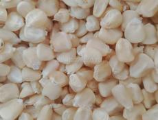 Продаю свежие кукурузу