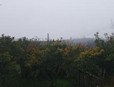 Земельный участок 