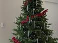 Продам елку(недорого)