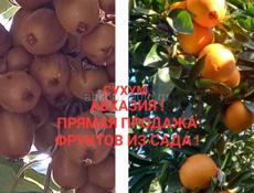 Продам фрукты