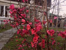 📍Продается дом 