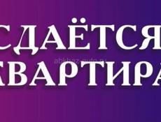 Сдам только приезжим 