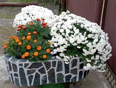 Цветочные вазоны 