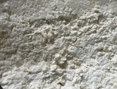 Сыр первый оптом 