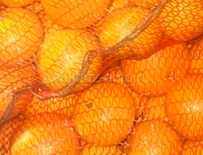 Апельсины (Вашингтон)