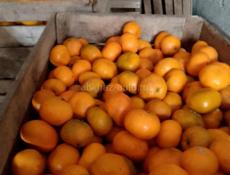 Мандарины 200кг,лимоны 200кг