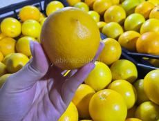 Продам лимон 