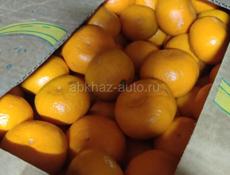 Покупаю мандарины 