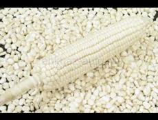 Белая рушенная кукуруза 