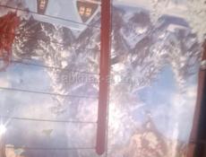 Два стекла целка за 5.000