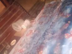 Два стекла целка за 5.000