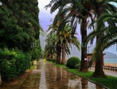 Продаётся частный дом с участком