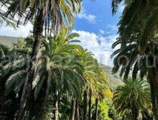 Продаётся частный дом с участком