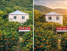 Продаётся частный дом с участком