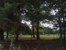 ЗЕМЕЛЬНЫЙ УЧАСТОК!!!