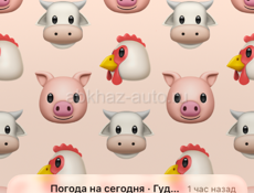 Ищу работу сиделкой