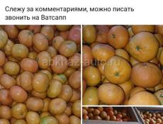 Куплю мандарины 