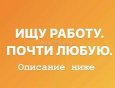 Ищу любую работу