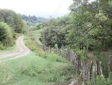 Дом 200м2 на участке 2,5 Га, с. Гуп, Очамчирский р-н.