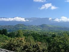 Дом 200м2 на участке 2,5 Га, с. Гуп, Очамчирский р-н.