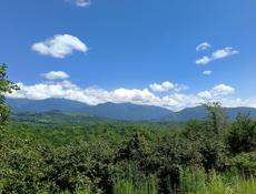 Дом 200м2 на участке 2,5 Га, с. Гуп, Очамчирский р-н.