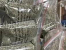 Порох Италянски под заказ